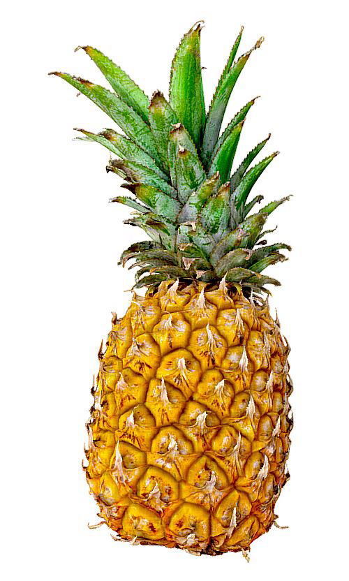 ANANAS en 3D, cliquez pour accéder au fichier 3D